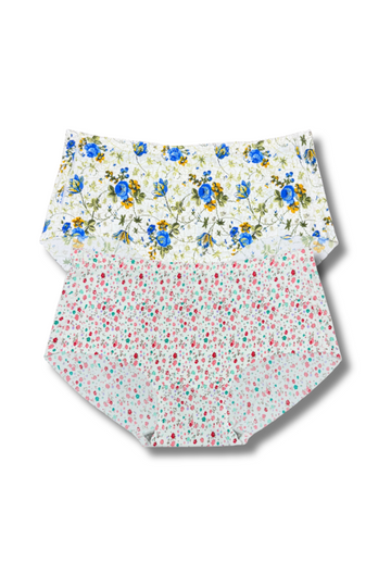Plus Size Seamless Printed Panties 👙 | Mid-Rise Hipster | Super Stretchable Comfort (2XL/3XL, Pack of 2)