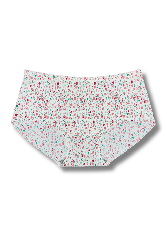 Plus Size Seamless Printed Panties 👙 | Mid-Rise Hipster | Super Stretchable Comfort (2XL/3XL, Pack of 2)