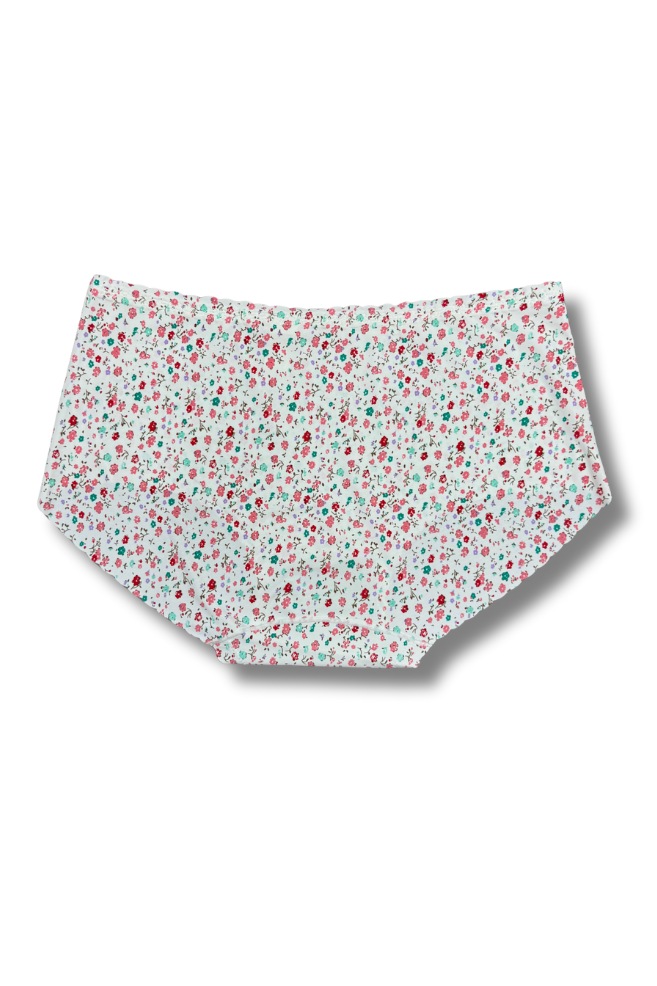 Plus Size Seamless Printed Panties 👙 | Mid-Rise Hipster | Super Stretchable Comfort (2XL/3XL, Pack of 2)