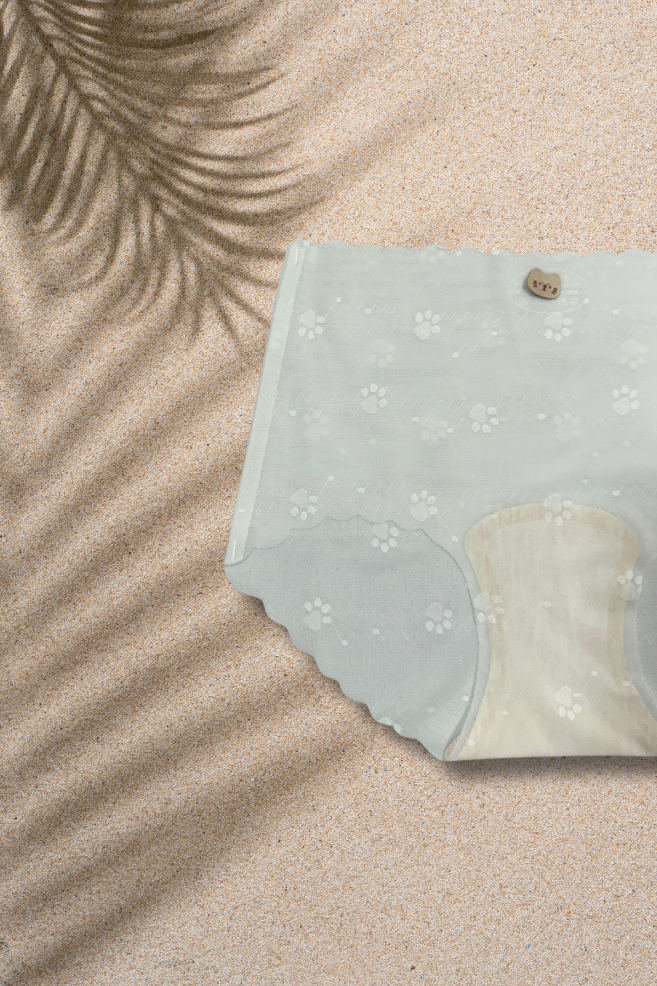 S, M & L Size | Ultra-Thin Seamless Panties for Women | Super Stretchable, Comfortable & Invisible Underwear