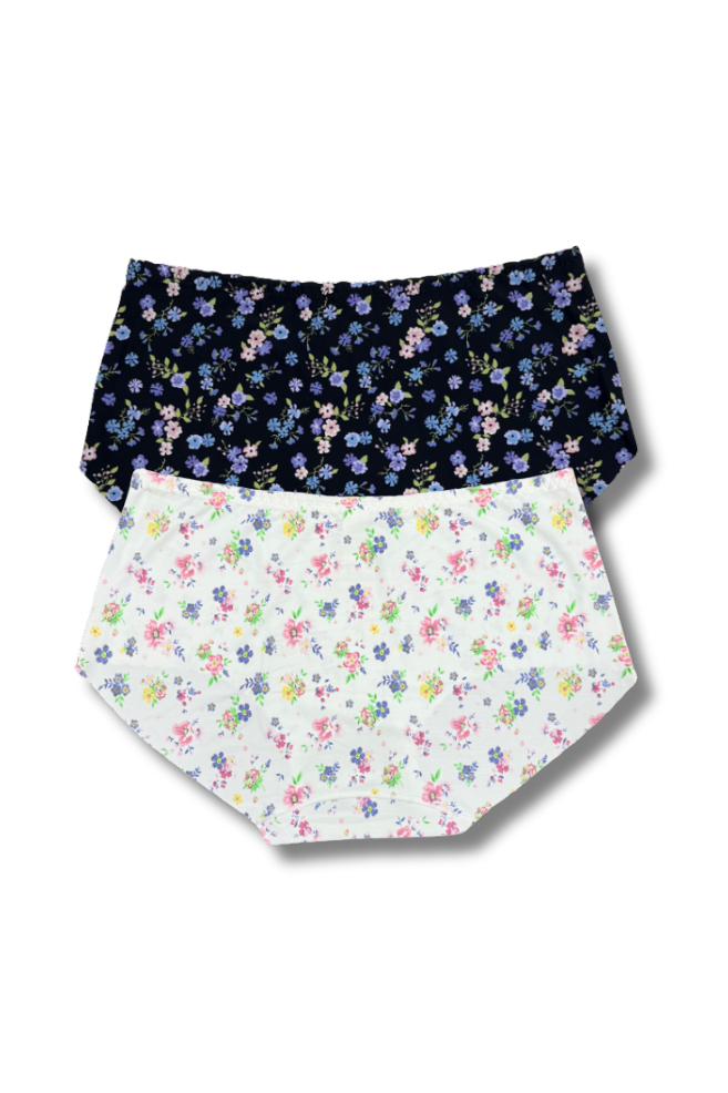 Plus Size Seamless Printed Panties 👙 | Mid-Rise Hipster | Super Stretchable Comfort (2XL/3XL, Pack of 2)