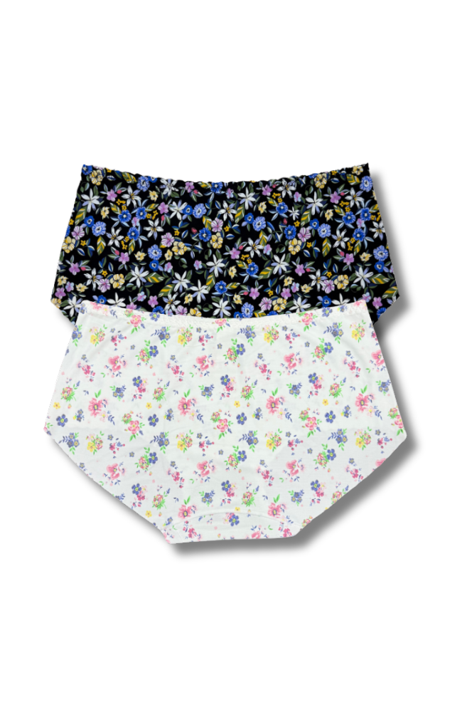Plus Size Seamless Printed Panties 👙 | Mid-Rise Hipster | Super Stretchable Comfort (2XL/3XL, Pack of 2)