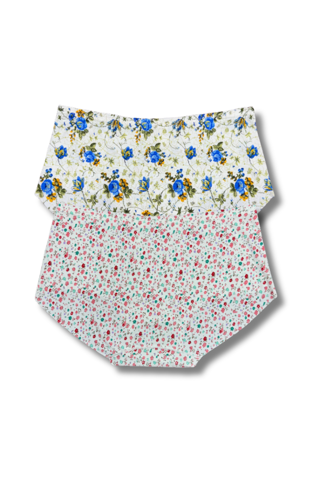 Plus Size Seamless Printed Panties 👙 | Mid-Rise Hipster | Super Stretchable Comfort (2XL/3XL, Pack of 2)
