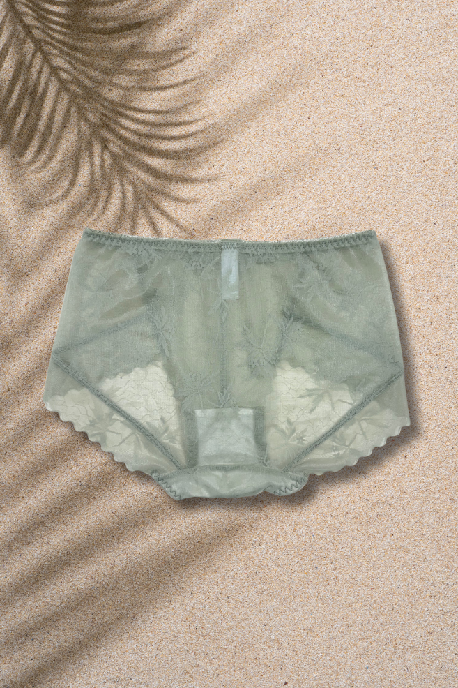 S & M Size | Lace & Net Panty for Women | Soft, Breathable & Comfortable | Everyday Luxury