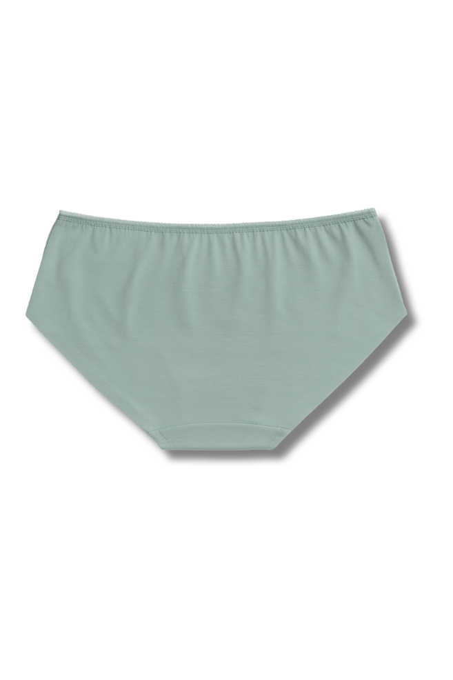M & L Size | Seamless Hipster Panty for Women | Pack of 2 | Soft Elastic, Mid-Rise & No Visible Lines