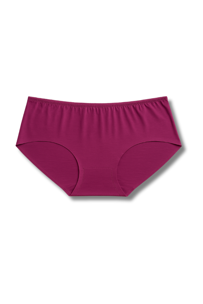 M & L Size | Seamless Hipster Panty for Women | Pack of 2 | Soft Elastic, Mid-Rise & No Visible Lines