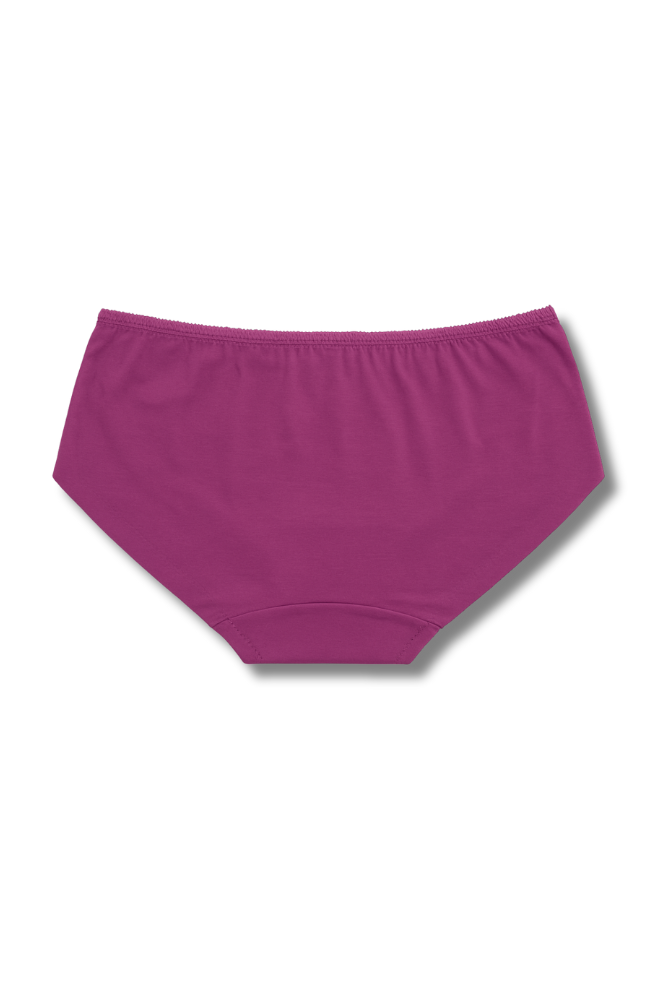 M & L Size | Seamless Hipster Panty for Women | Pack of 2 | Soft Elastic, Mid-Rise & No Visible Lines