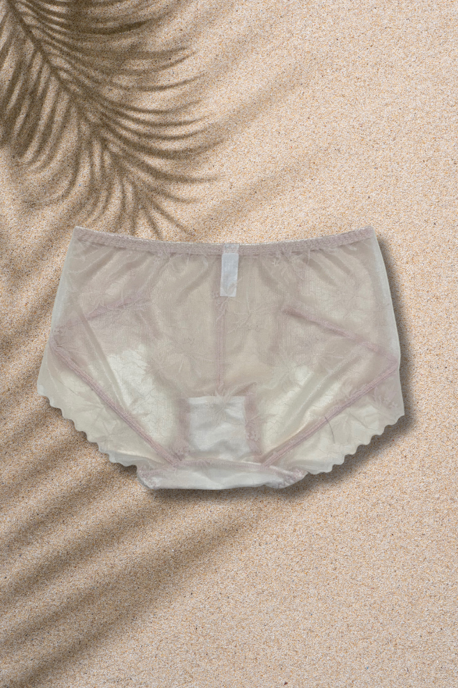 S & M Size | Lace & Net Panty for Women | Soft, Breathable & Comfortable | Everyday Luxury